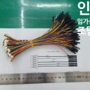 HS가축인공수정소 | 듀폰 1P 커넥터 제작 후기