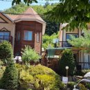 홍천 강가애 이미지