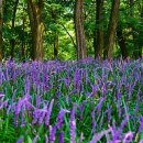 화원관광지 이미지