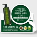 버드내헤어
