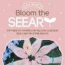 씨앗 이미지