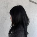 비롬헤어 정자본점 이미지