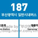 부산광역시 187번 버스 노선 정보