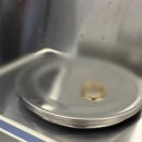 판암동183 이미지