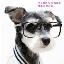광주행정사합동사무소 이미지