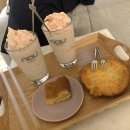 나우로데오 이미지