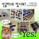 안경샵 이미지