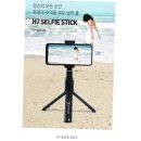 셀피스