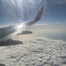 남원읍 의귀리 1486-3 의귀초등학교 앞 | [제주여행]제주 정원책방게스트하우스 후기 (여성전용)