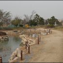 을숙도 인조잔디 축구장 이미지