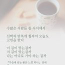 책 속의 한줄44 이미지