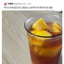 범식시 아이스티에 망고 좀 끼려와 이미지