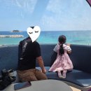 금호1농장 이미지