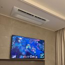 감정 널뛰기 100번 한 젠지팬 직관 후기 (4) - MSI 대표 선발전 R3 [GEN vs HLE]