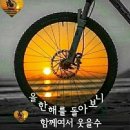 팔미가 이미지