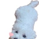 상주한우마굿간 이미지