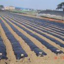 화창농원 이미지