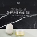 더플랜주 이미지
