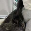 파스쿠찌 동김해점 | 🍓