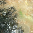 김태희옛날손국수 이미지