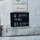 제목정하기힘든데여튼지금까지일상폭탄입니다.