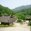 안성 월동천 | 245 서운산 석남사