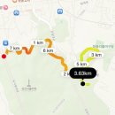 남부순환로83길(북측) | 3월 남산 업힐 러닝코스 추천 페이즈짐 러닝크루 후기