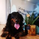 송도 랜드마크씨티 1호체육공원 다목적구장 이미지