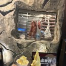 굽돌집 잠실방이직영점 이미지