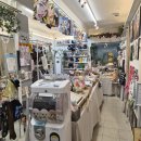 고양이정원 | 부산 전포 고양이정원 무인점포 수제간식 고양이장난감 구매후기