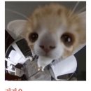 (주) 써드스테이지 | 뒤늦은 8/4 펜타포트 막날 후기…