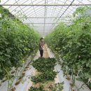 서면농장 이미지