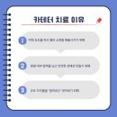 아크로벳 내과동물병원 이미지