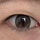 천리안안경.위드렌즈증평점 이미지