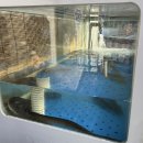 황금시장플랫폼 화장실 | 모래내시장에 숨겨진 구월동 장어 맛집 황금민물장어 (여름제철 민물장어로 몸보신하기)