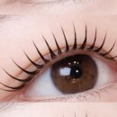 첨단과기로208번길 이미지