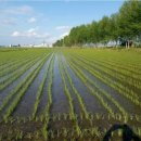 성은비료 이미지