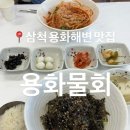 용화물회 | [삼척] 용화해수욕장 물회가 맛있는 “용화물회” 내돈내산 후기