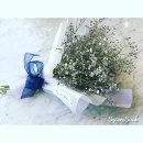 까사드플로라