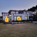 화이트아일랜드(피지) 이미지