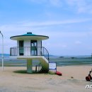 치앙마이 - 포항시 남구 대이로127번길 21 | 치앙마이