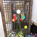 홍어전문점 이미지