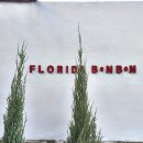 플로리다 봉봉 이미지