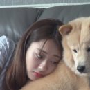 아기곰푸드 이미지