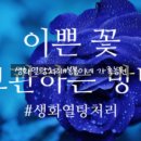 봉봉이네 농장