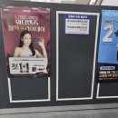 으뜸플러스안경시화배곧점