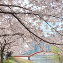 25시 사리골 이미지