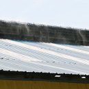 자석목장 이미지