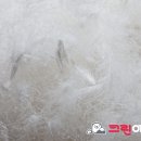 세탁의 신 이미지