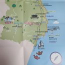 평해사구습지 | 오감만족 울진여행 월송정 관동팔경 달빛과 어울리는 솔숲 평해사구습지 와 일출 명소이기도함